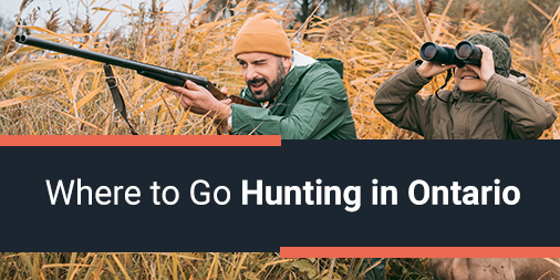 Where to Go Hunting in Ontario