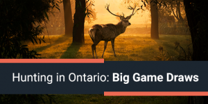 Hunting in Ontario: Big Game Draws