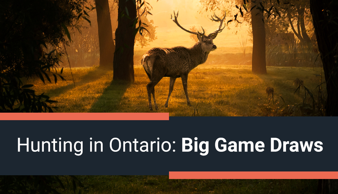 Hunting in Ontario: Big Game Draws